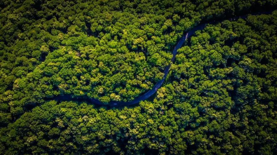 Onde viajar no Brasil em maio