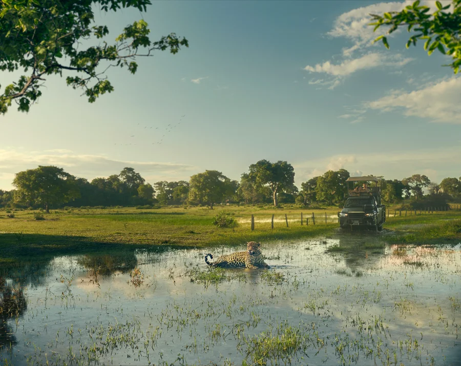 Pantanal