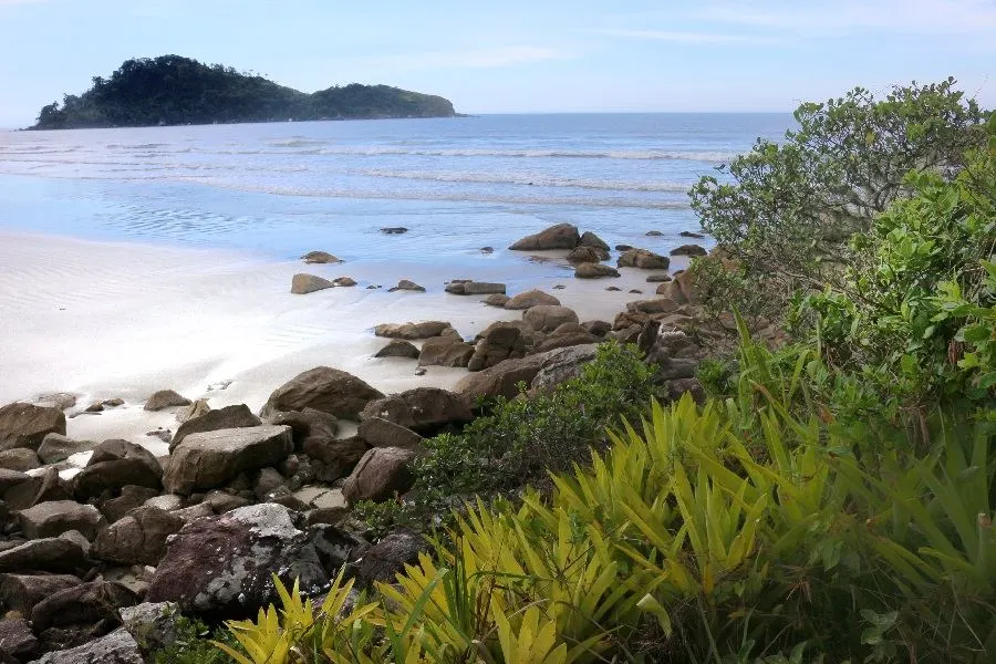 Viaje pelo Brasil e conheça a Ilha do Cardoso
