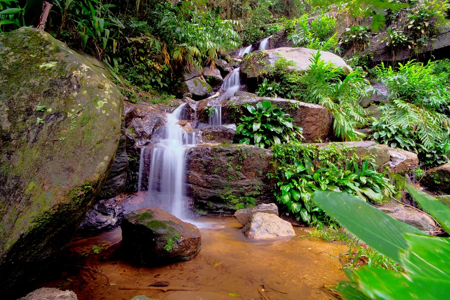 Viaje pelo Brasil - Parque Nacional da Tijuca 