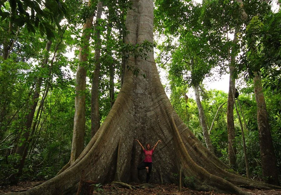 Parque Nacional do Tapajós, Pará