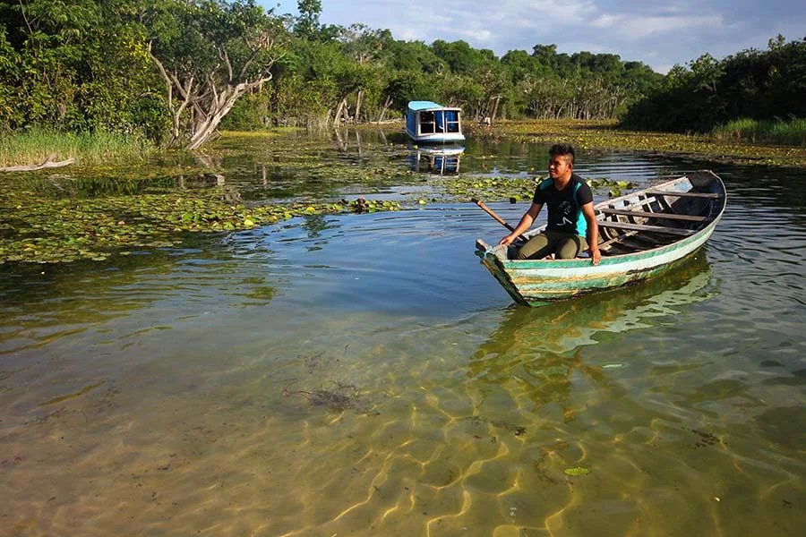 Igarapé de Jamaraquá, Pará