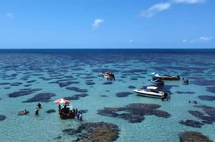 Parrachos de Rio do Fogo