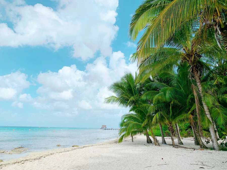 Cozumel é um dos principais roteiros da MSC