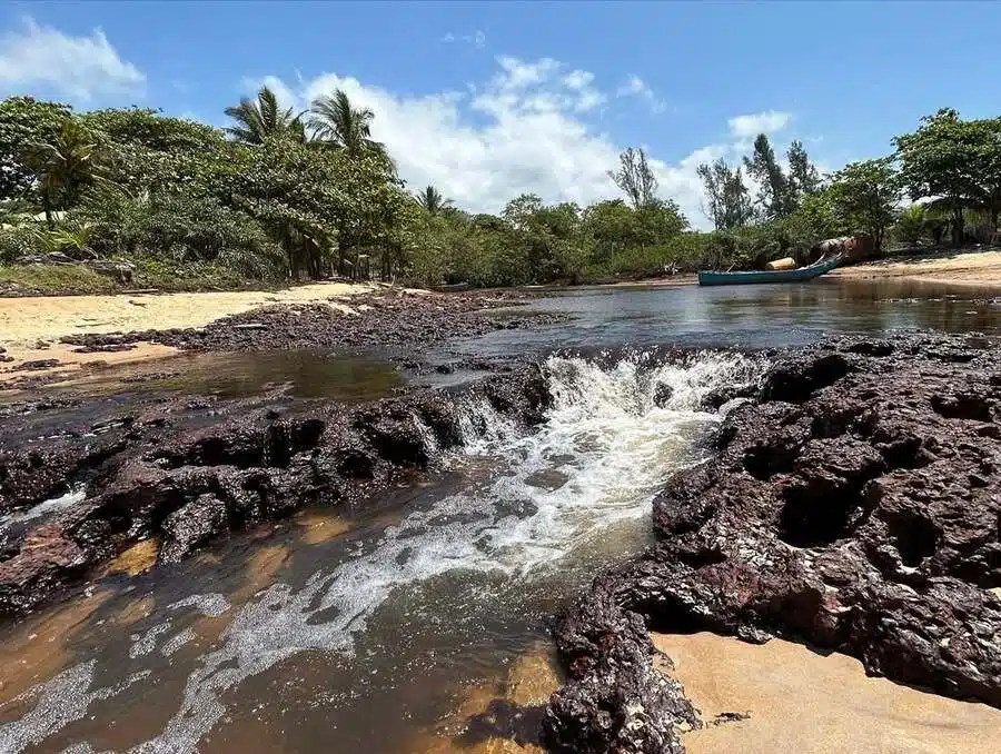 Parque Estadual de Itaúnas 