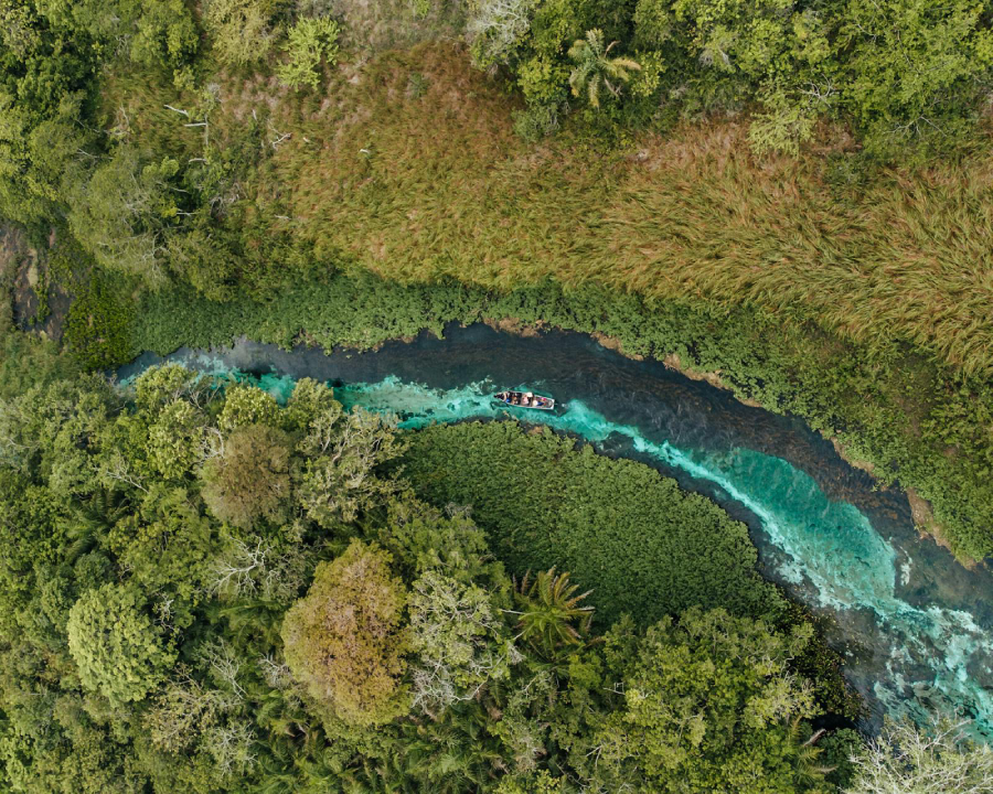 Flutuação no rio Sucuri, em Bonito