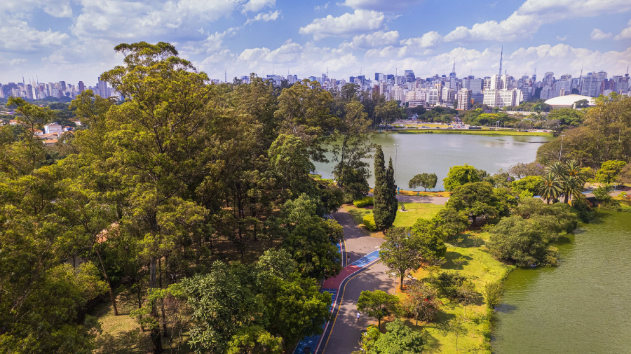 Viajar para São Paulo custos