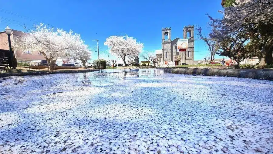 São Joaquim, Santa Catarina
