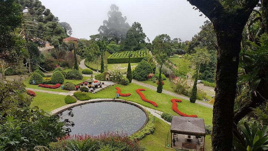 Descubra Campos do Jordão - Amantikir