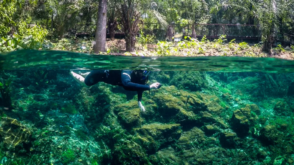 Viagem para o destino de ecoturismo