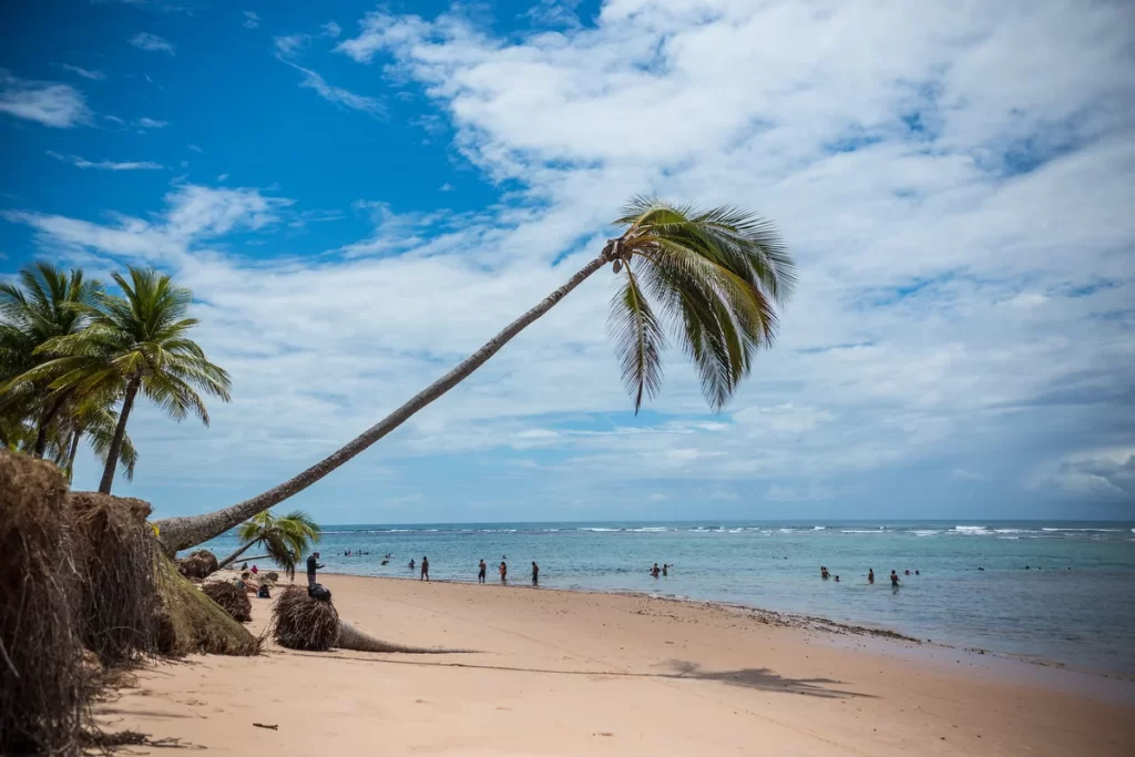 Península de Maraú: dicas para viajar tranquilo pelo sul da Bahia