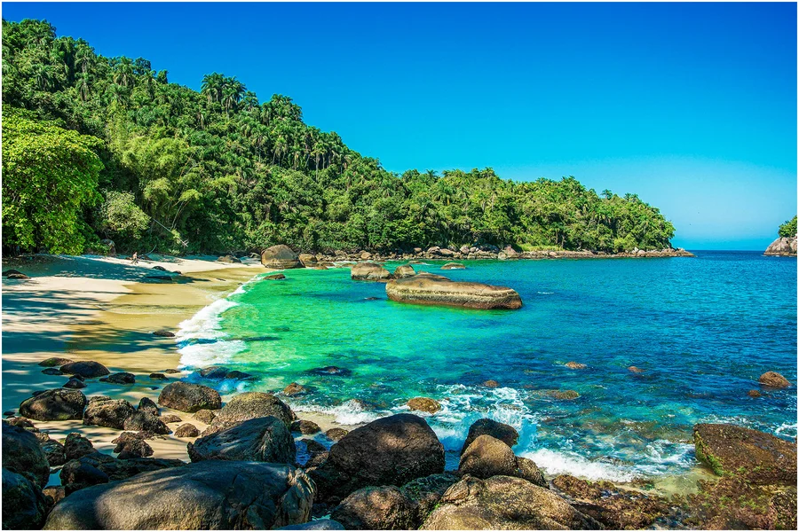 Ilha das Couves