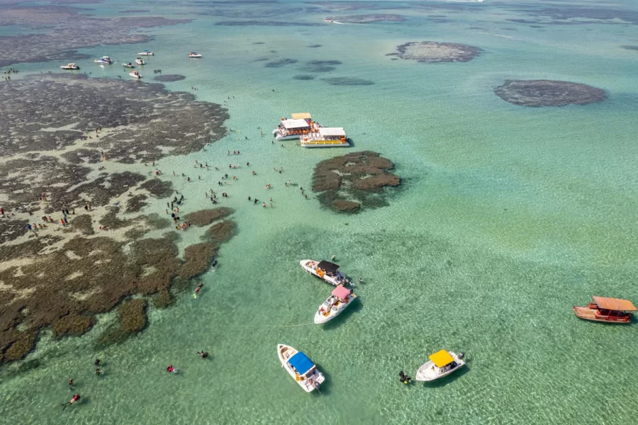 Praias de Alagoas - Salinas Maragogi
