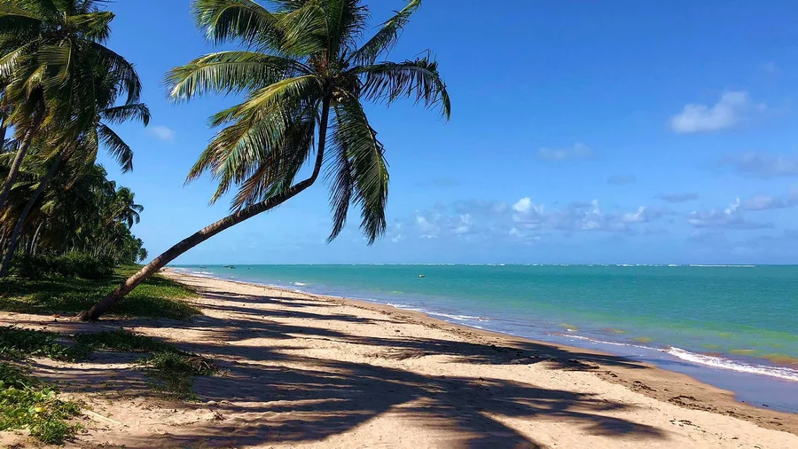 São Miguel dos Milagres