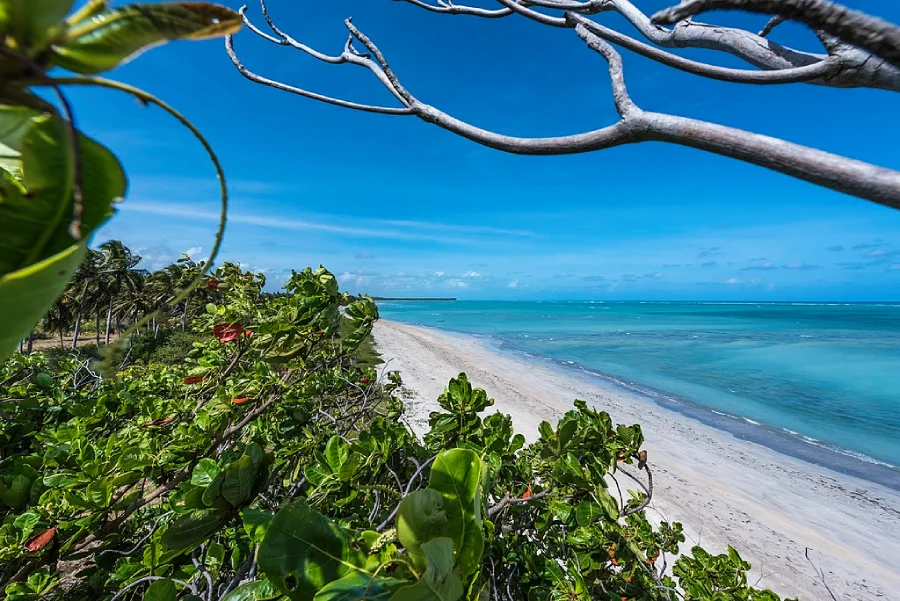Praias para conhecer no Nordeste - Praia do Patacho