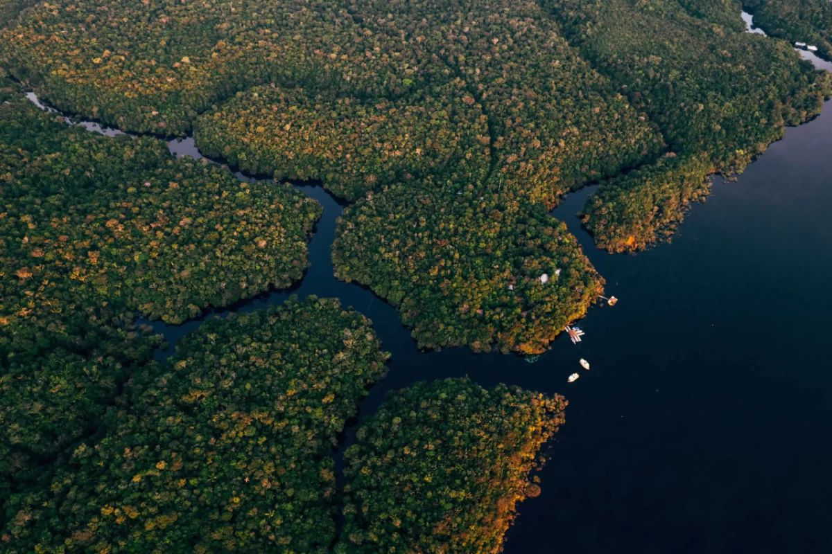 Quanto custa viajar para a Amazônia