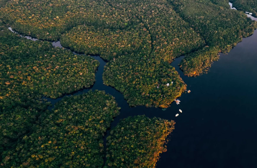 Quanto custa viajar para a Amazônia