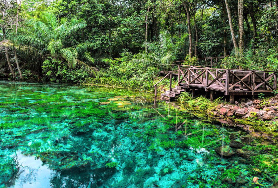 Dicas de viagem ao Mato Grosso do Sul