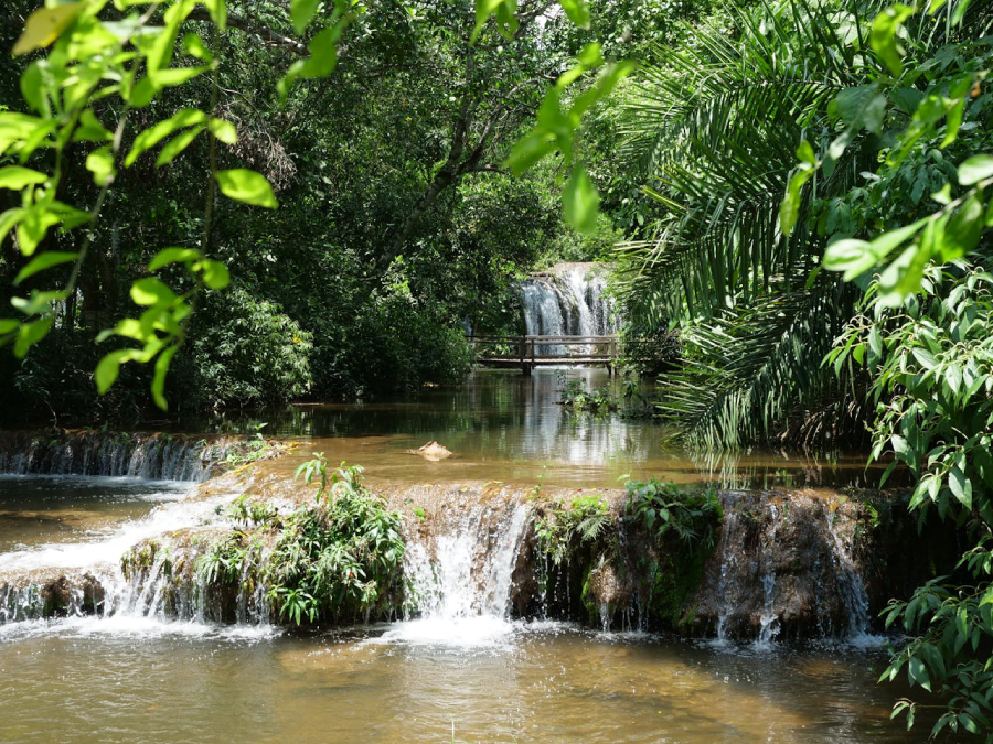 Viagem de ecoturismo no Brasil