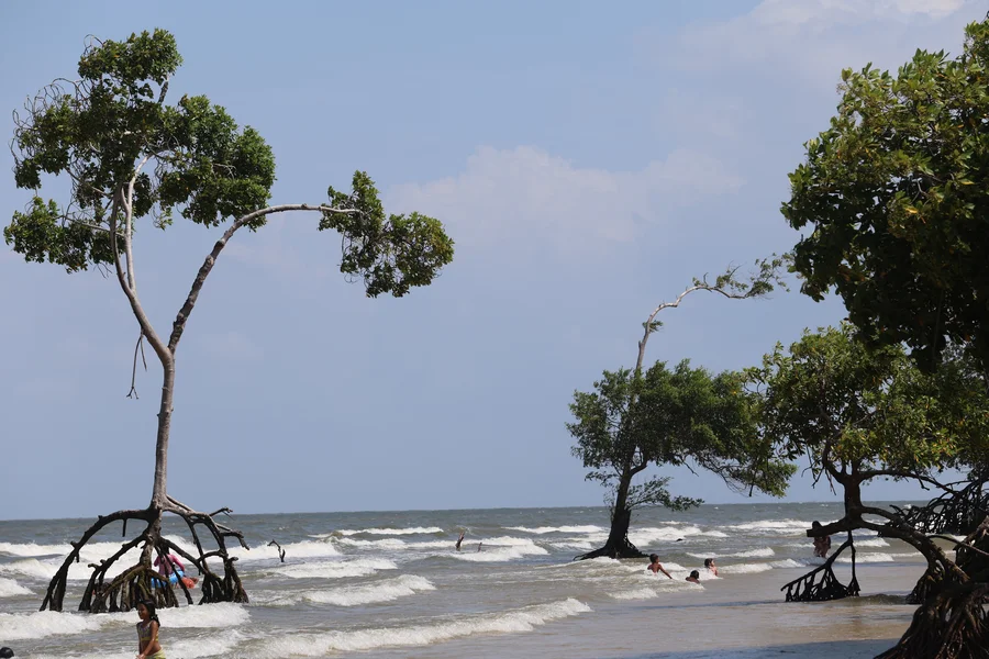 Ilha de Marajó