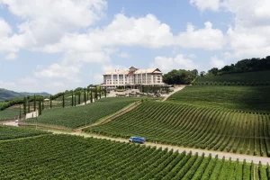 Destinos na Serra Gaúcha - Vale dos Vinhedos