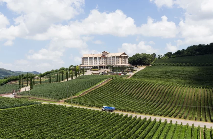 Destinos na Serra Gaúcha - Vale dos Vinhedos