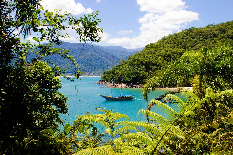 Praia do Bonete, Ubatuba