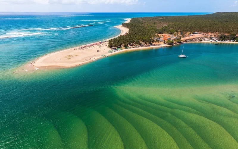 vista aérea da Praia do Gunga, em Alagoas