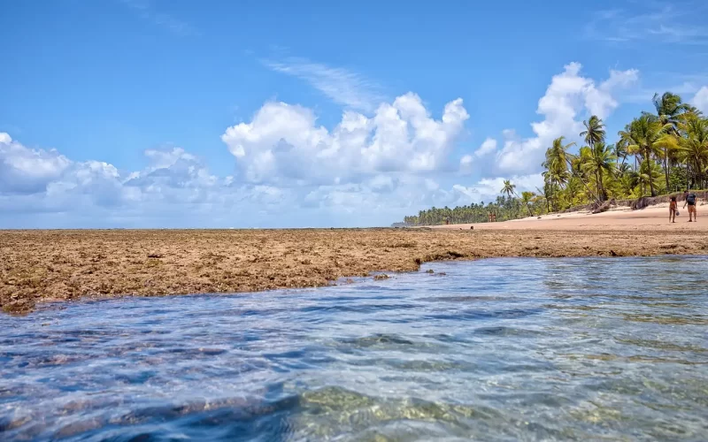 Peninsula de Marau - Taipu de Fora
