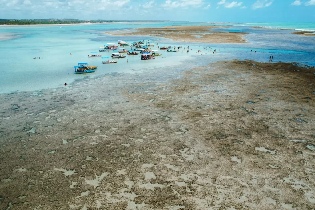 Piscinas naturais em São Miguel dos Milagres - Alagoas