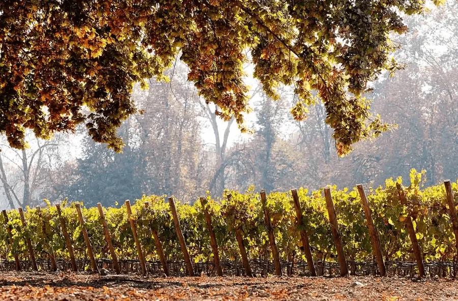 Roteiro pelo Chile: conheça os 20 destinos mais incríveis do país