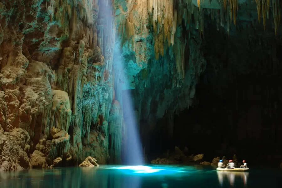 Anhumas em Bonito, Mato Grosso do Sul, destino de ecoturismo
