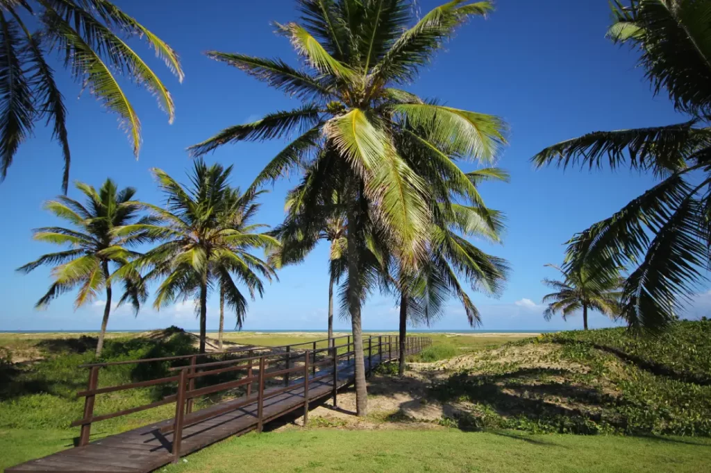 Dicas de Viagens em Aracaju