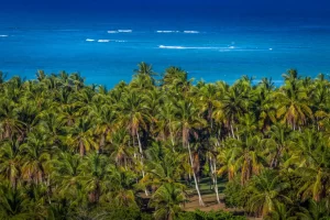 Vista aérea de Arraial d’Ajuda, com coqueiros e mar azul, destino turístico na Bahia