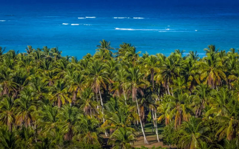 Vista aérea de Arraial d’Ajuda, com coqueiros e mar azul, destino turístico na Bahia