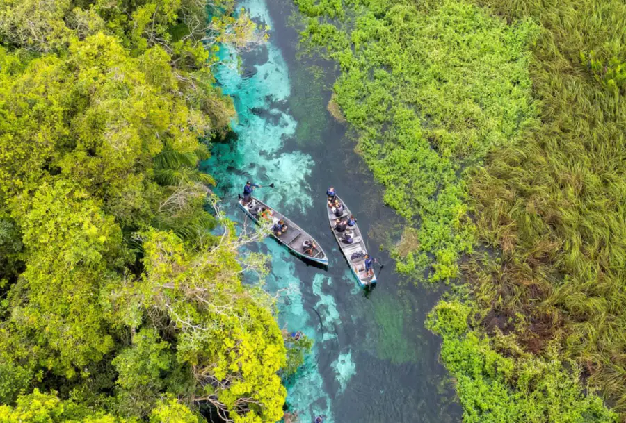 Localizado em Mato Grosso do Sul, o Rio Sucuri é referência em ecoturismo e flutuação