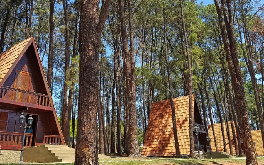 Parque em Holambra com áreas verdes, flores e espaço para lazer