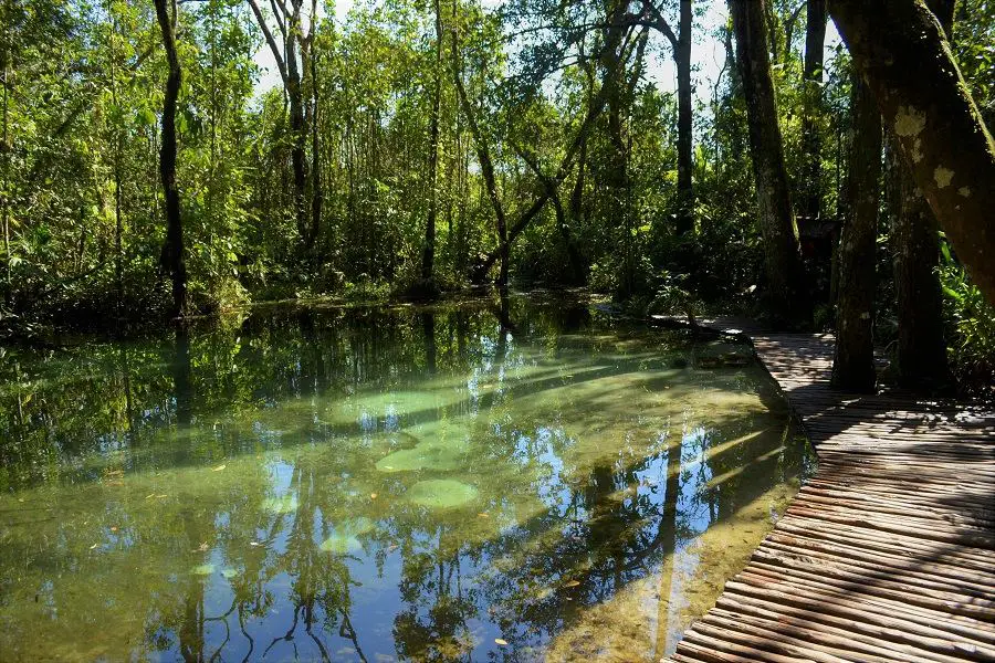 Fervedouro em Brotas, SP, atração natural de ecoturismo
