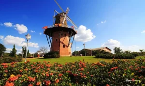 Conhecida como Cidade das Flores, Holambra em SP é referência em turismo e produção floral