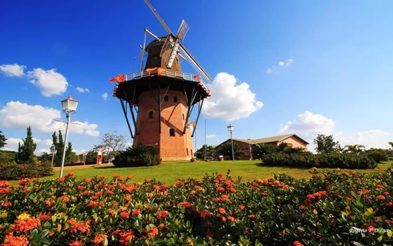 Conhecida como Cidade das Flores, Holambra em SP é referência em turismo e produção floral