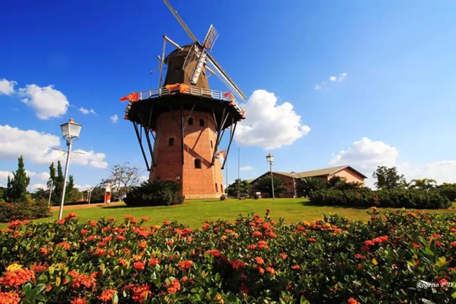 Conhecida como Cidade das Flores, Holambra em SP é referência em turismo e produção floral
