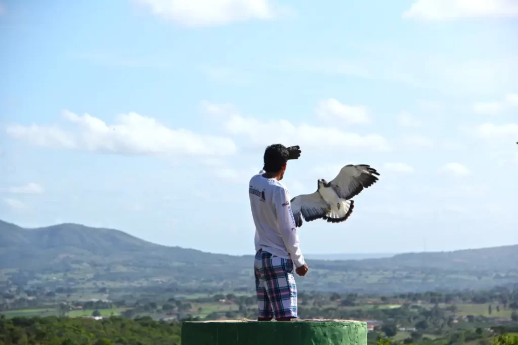 Parque dos Falcões - Sergipe
