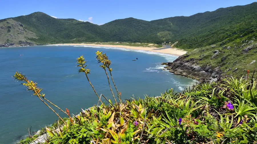 A Praia da Lagoinha, em Florianópolis, é uma das melhores opções para conhecer em Santa Catarina