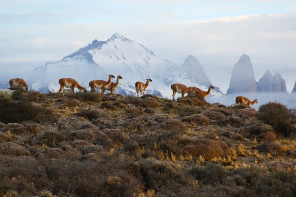 9 lugares para conhecer no Chile, segundo o site de viagens Guia Viajar Melhor