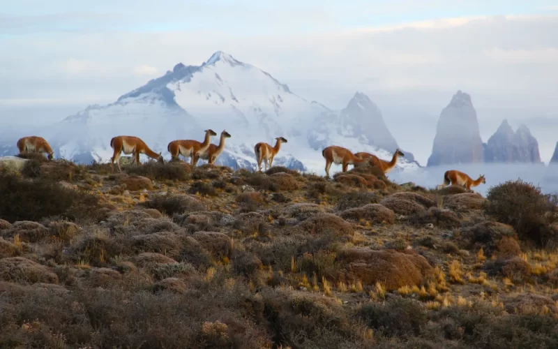 9 lugares para conhecer no Chile, segundo o site de viagens Guia Viajar Melhor