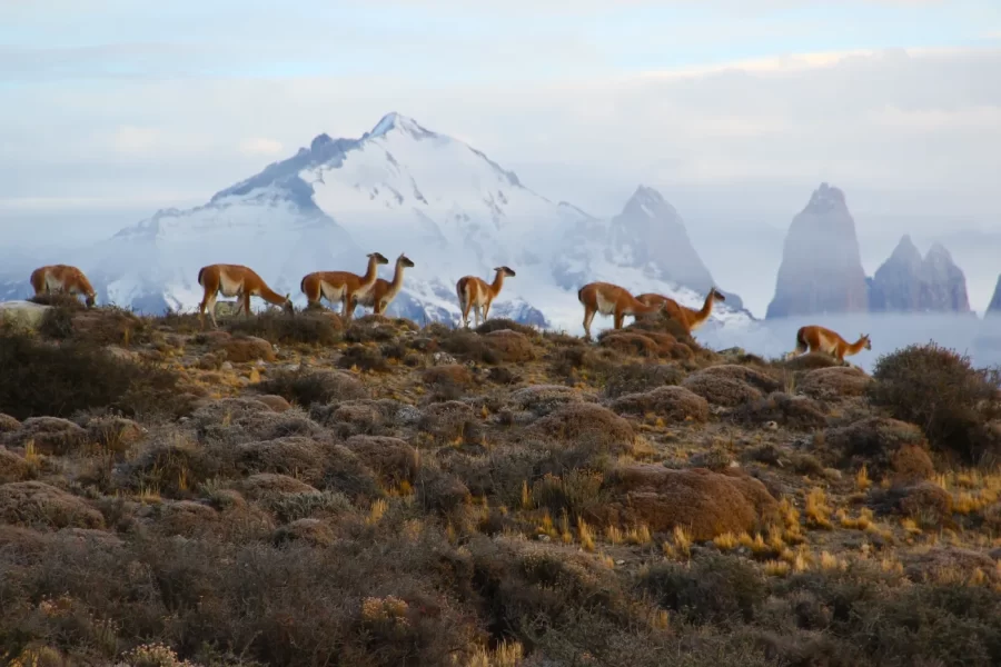 9 lugares para conhecer no Chile, segundo o site de viagens Guia Viajar Melhor
