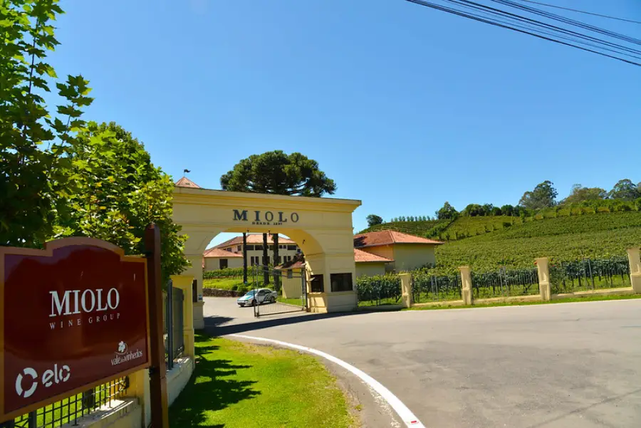 Dica de lugar para conhecer no RS: Para quem busca experiências gastronômicas, o Vale dos Vinhedos