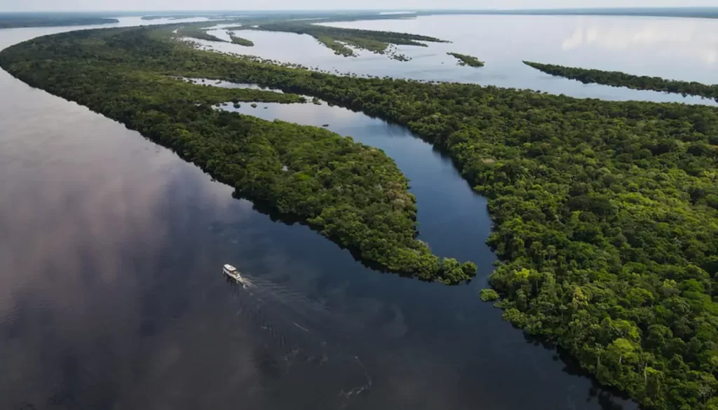 Anavilhanas em Novo Airão, arquipélago de ilhas no Rio Negro, no Amazonas