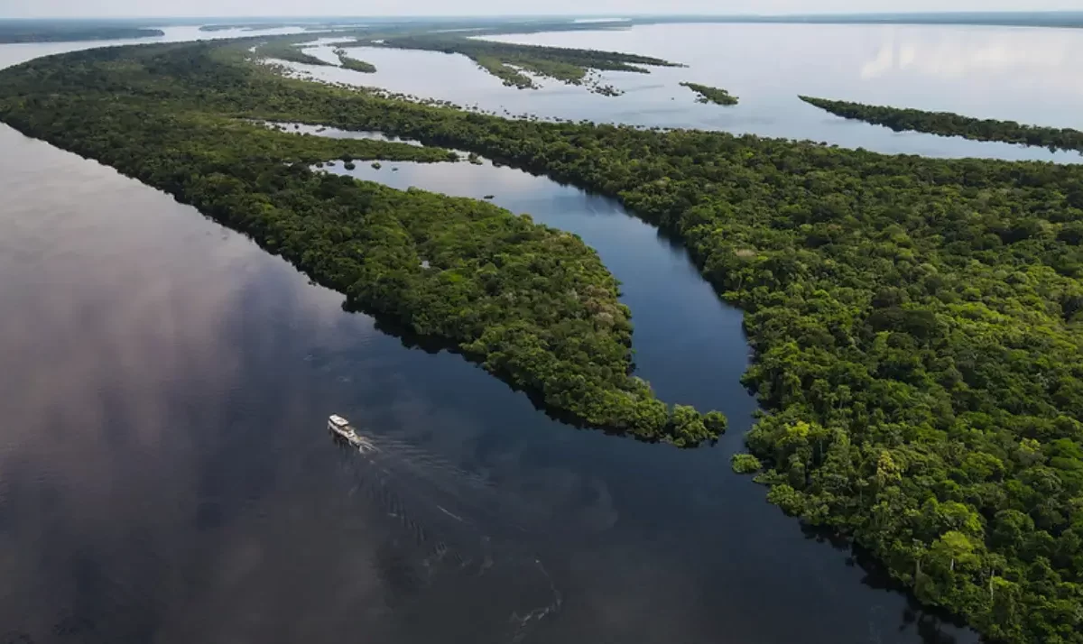 Anavilhanas em Novo Airão, arquipélago de ilhas no Rio Negro, no Amazonas