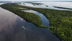 Anavilhanas em Novo Airão, arquipélago de ilhas no Rio Negro, no Amazonas